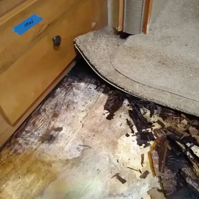 Wood Floor Water Damage in Royse City, TX